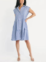 Blue Stripe Sleeveless Tiered Button-Front Shirt Dress